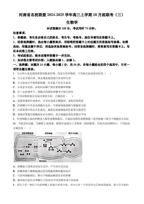 河南省2024-2025年金太阳高三年级联考(三)生物学试题(含解析)