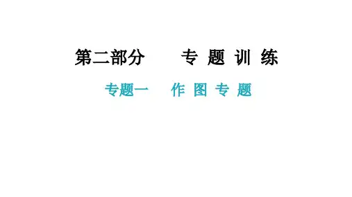 2021年中考广东专用物理专题训练专题一   作 图 专 题