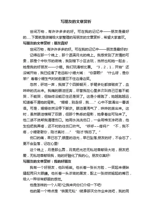 写朋友的文章赏析