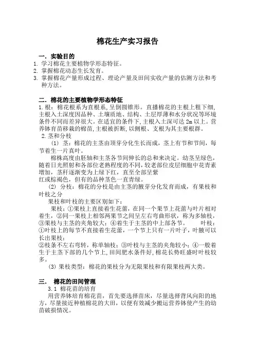 棉花生产实习报告