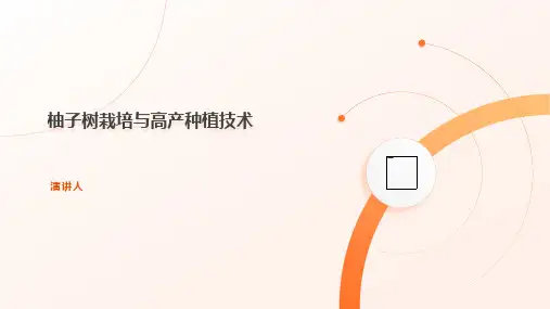 柚子树栽培与高产种植技术