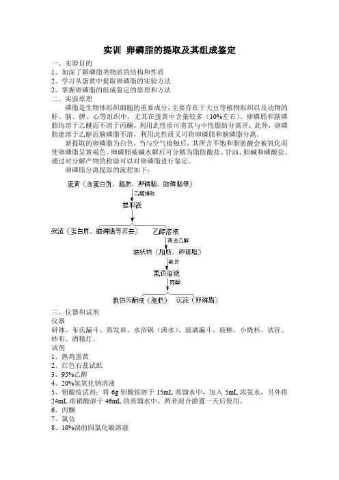 实训 卵磷脂的提取及其组成鉴定