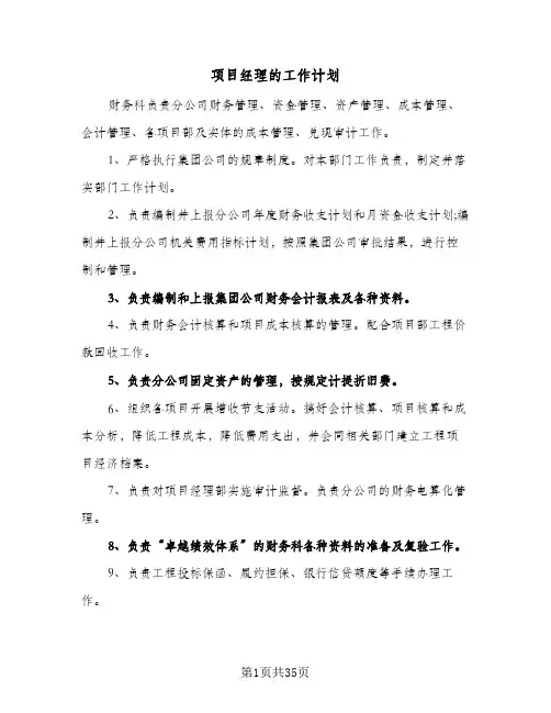 项目经理的工作计划(8篇)