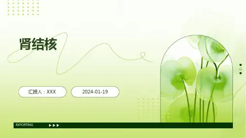 肾结核演示ppt课件
