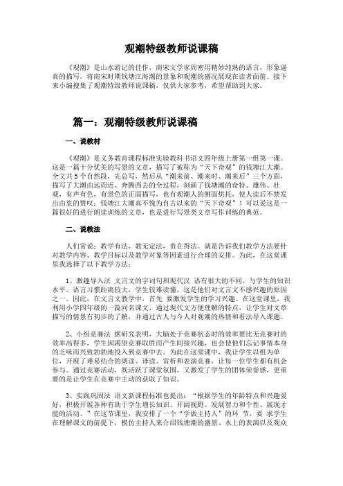 观潮特级教师说课稿