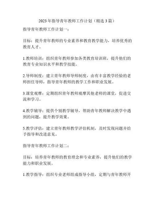2023年指导青年教师工作计划(精选3篇)