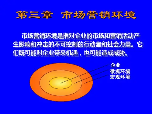 市场营销环境(宏观,微观)及环境对营销的营销分析