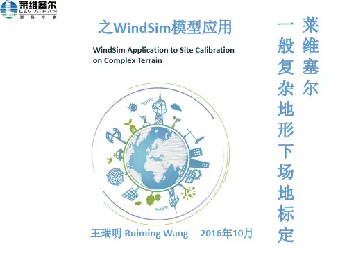 莱维塞尔一般复杂地形下场地标定-WindSim