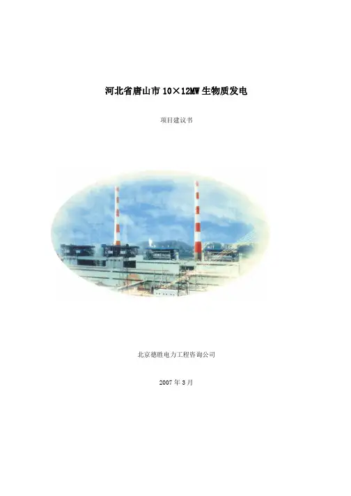 河北省唐山市10X12MW生物质发电项目建议书2