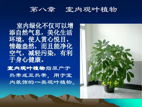 第八章-室内观叶植物.
