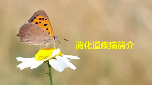 胃肠道常见疾病介绍PPT课件