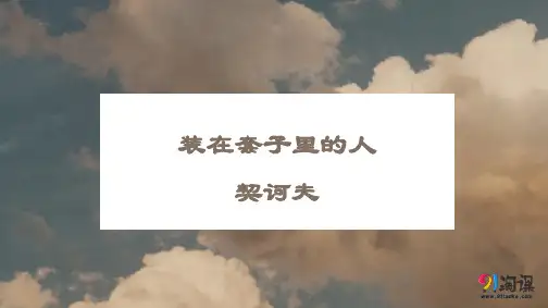 课件47：第13课 装在套子里的人