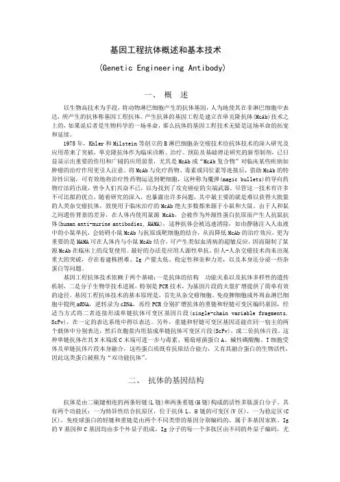 基因工程抗体概述和基本技术