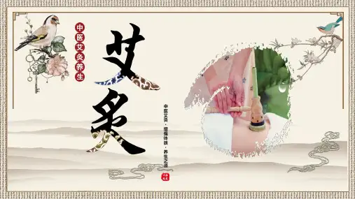 中国风传统中医艾灸养生ppt模板