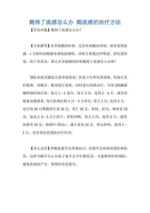 鹅得了流感怎么办 鹅流感的治疗方法