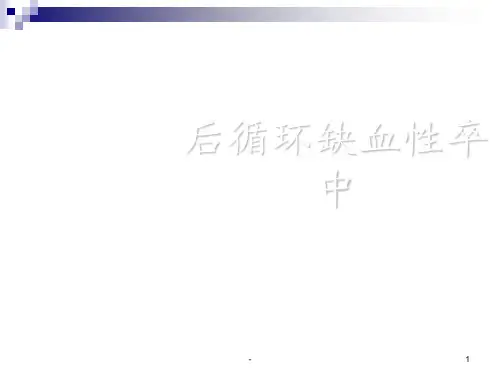 后循环缺血性PPT课件