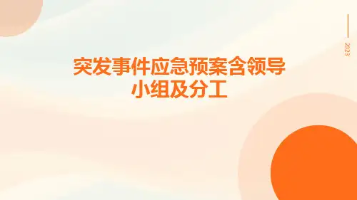 突发事件应急预案含领导小组及分工