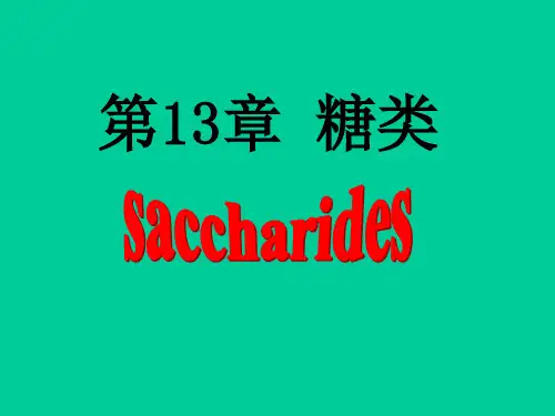 糖的概念和分类