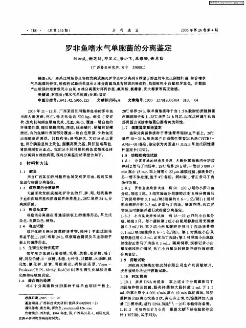 罗非鱼嗜水气单胞菌的分离鉴定