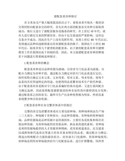 猪配套系育种探讨
