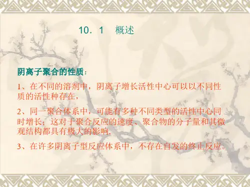 阴离子型聚合