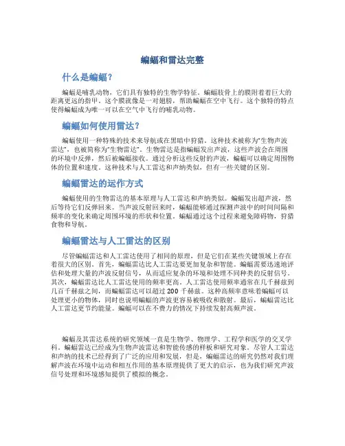 蝙蝠和雷达完整