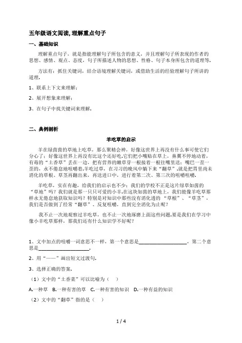 五年级语文阅读,理解重点句子