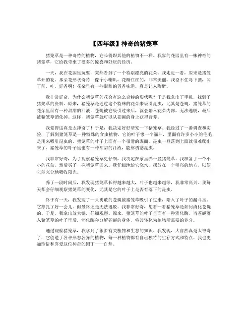 【四年级】神奇的猪笼草