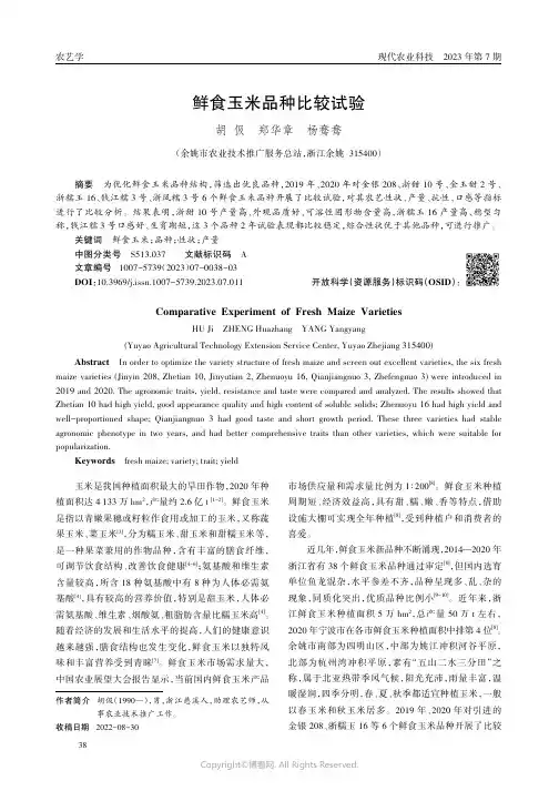 鲜食玉米品种比较试验