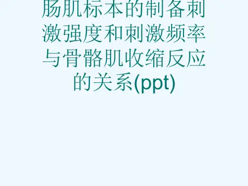 实验一坐骨神经腓肠肌标本的制备刺激强度和刺激频率与骨骼肌收缩反应的关系(ppt)