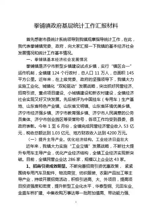 拳铺镇政府基层统计工作汇报材料