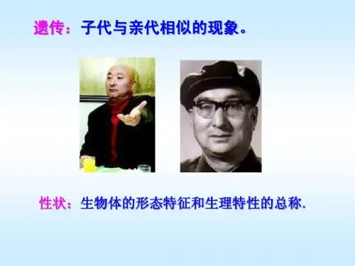 人教版教学课件基因的分离定律第一课时