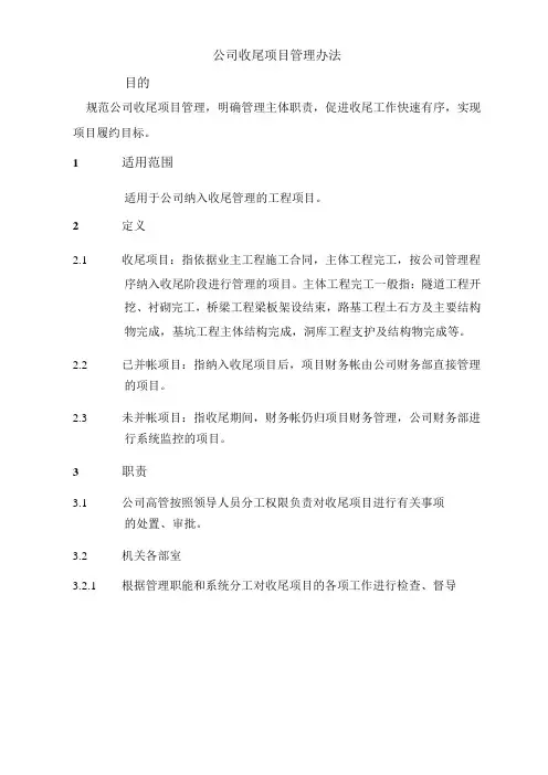 公司收尾项目管理办法