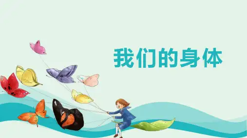 教科版科学五年级上册4.1我们的身体(课件)(共24张PPT)