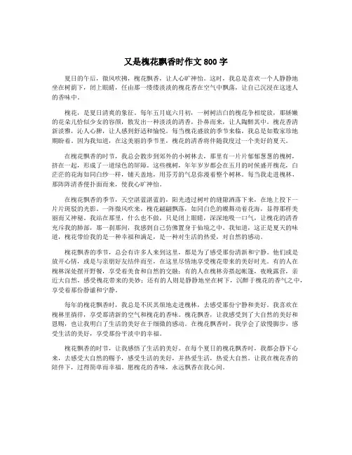 又是槐花飘香时作文800字