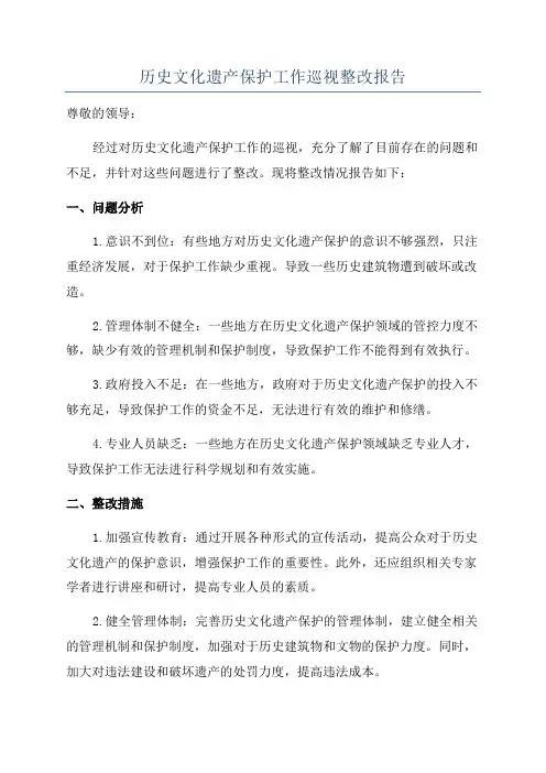 历史文化遗产保护工作巡视整改报告