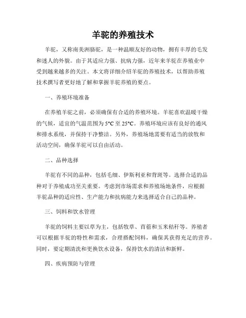 羊驼的养殖技术