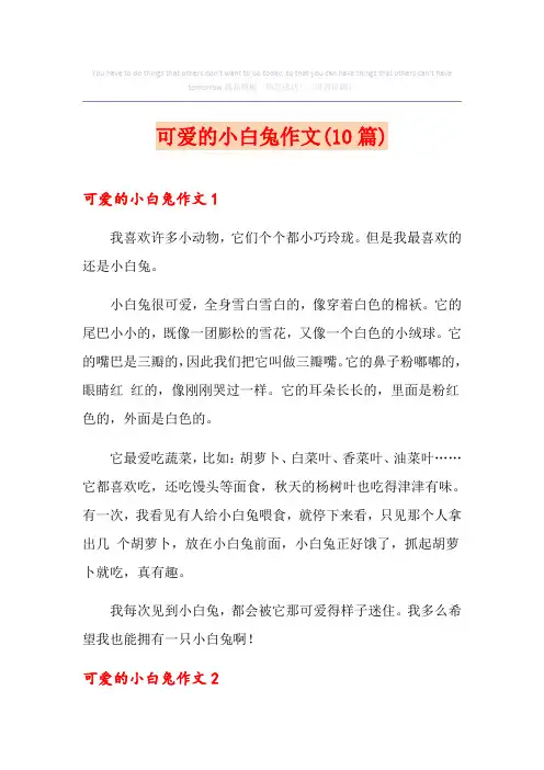 可爱的小白兔作文(10篇)