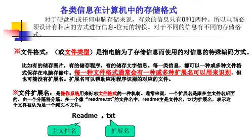 文件格式