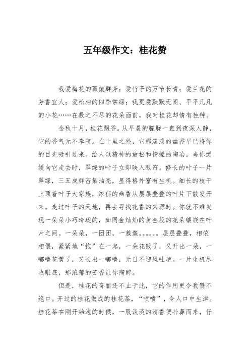 五年级作文：桂花赞