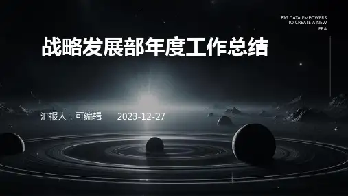战略发展部年度工作总结