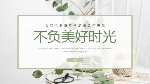 北欧风年中总结工作计划模板