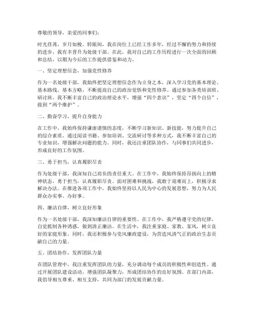 晋升处级个人总结范文