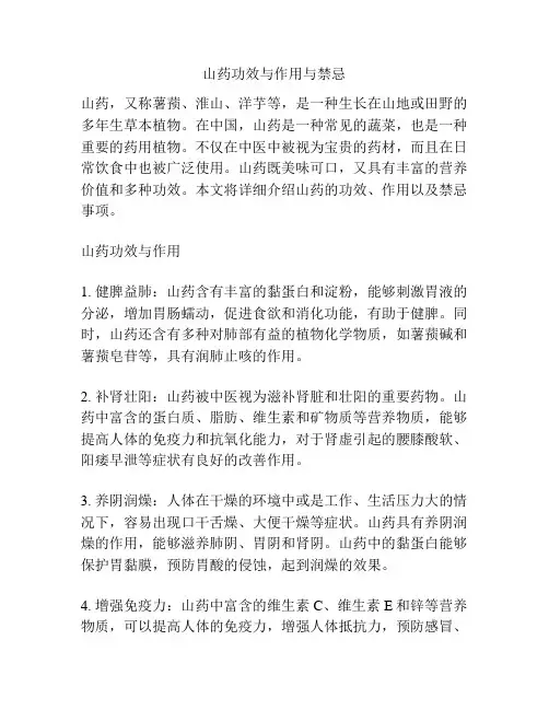 山药功效与作用与禁忌