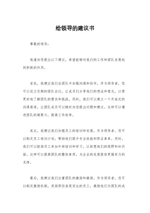 给领导的建议书