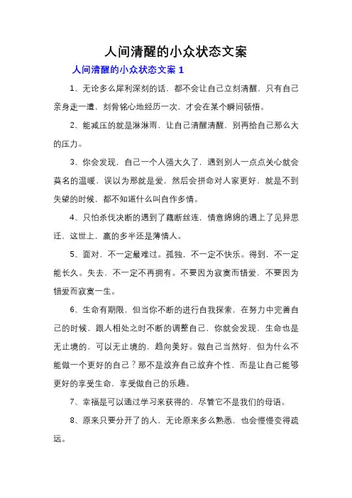 人间清醒的小众状态文案