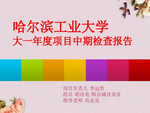 某大学大一年度项目中期检查报告(ppt 29页)