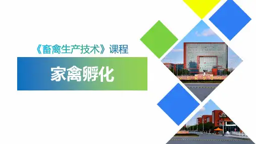 2.2家禽孵化(课件)-《畜禽生产技术》同步教学(高教版)