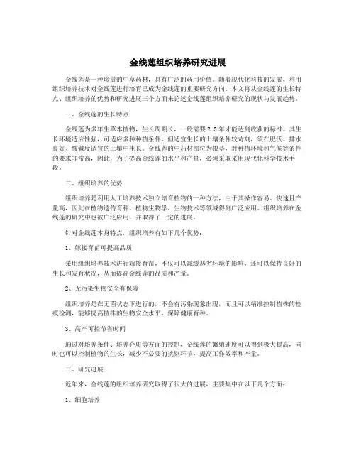 金线莲组织培养研究进展