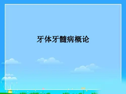 牙体牙髓病概论ppt课件